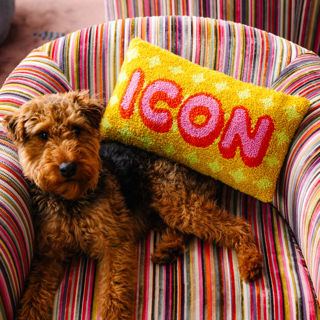 Dog lying on a colorful striped chair with a pillow that says 'ICON'.