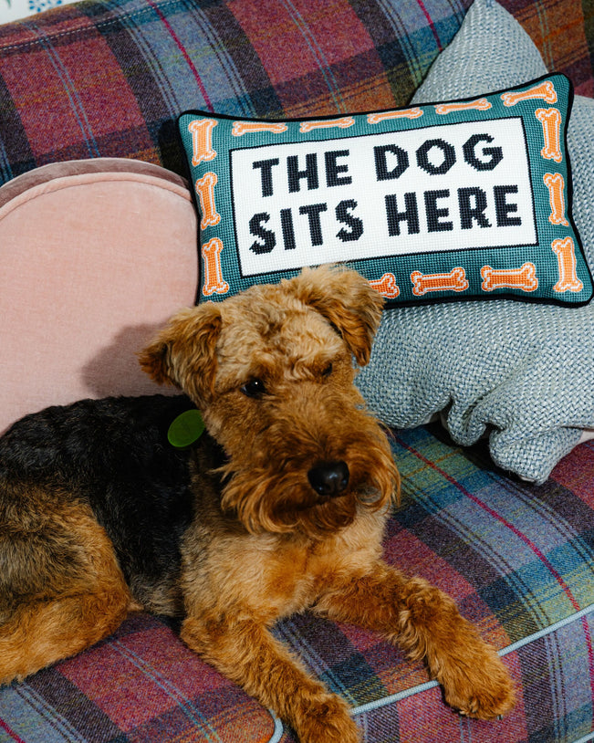 Dog Sits Here Needlepoint Pillow - Furbish Studio